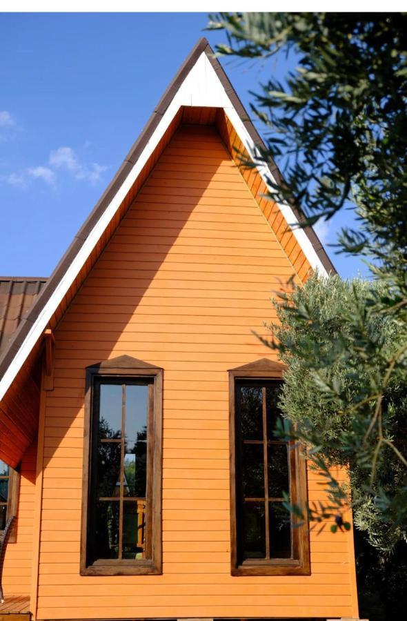 Seyyah Cafe Bungalows Aliaga 외부 사진